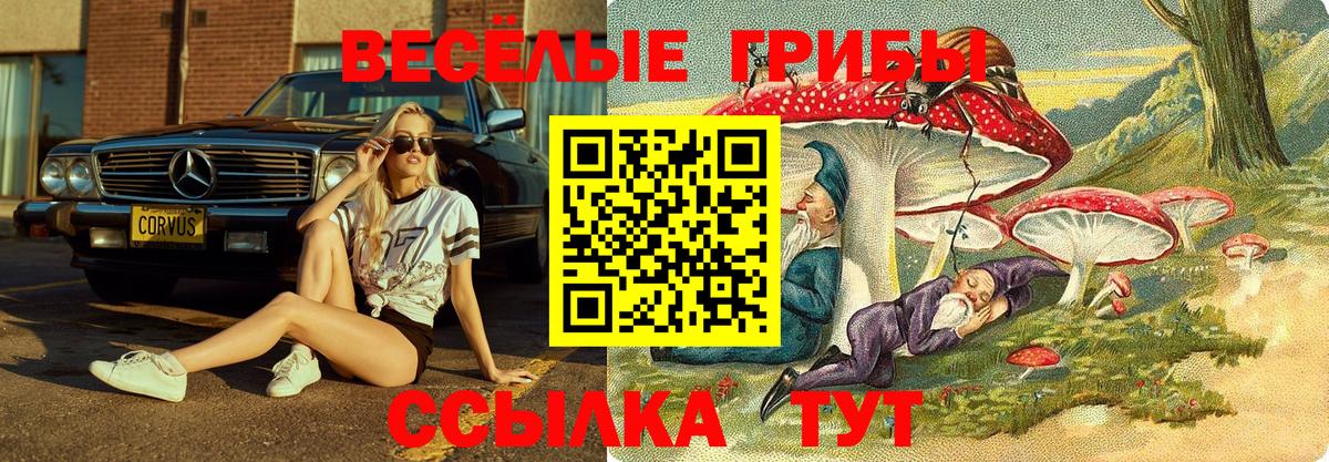 Псилоцибиновые грибы Magic Shrooms  Вход с VPN  Геленджик  Псилоцибиновые грибы мицелий 
